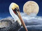 Moonlight-Pelican-8x10-Louisiana-art-camille-barnes