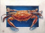 crab2_Painting WEB