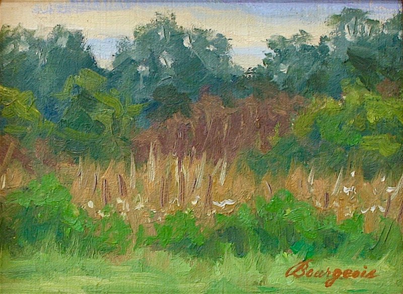 6x8-2