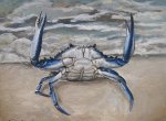 Crabby-8x10-Oil-on-PaperPanel