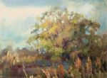 Solitary-Tree-24x30