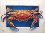 crab2_Painting-WEB