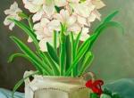 Potted-Amaryllis
