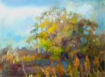 Solitary Tree-24x30