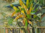 Tropical-Fancy-30x-30