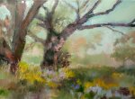 Twin-Oaks-web