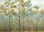Northern-pines