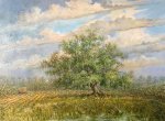 Sugar-Oak-Moon-Rise